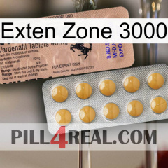 Exten Zone 3000 41